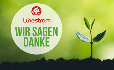 Junger Sprössling, links davon Schriftzug "Wir sagen Danke"